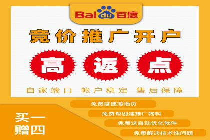 专业SEM代运营公司案例分析